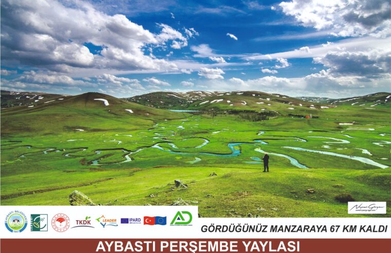 Yönlendirme Tabelaları Yapımı