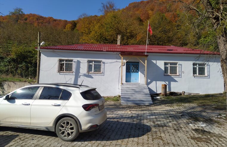 Toygar Mahallesi Menteşeli Eski Okul Tadilatı