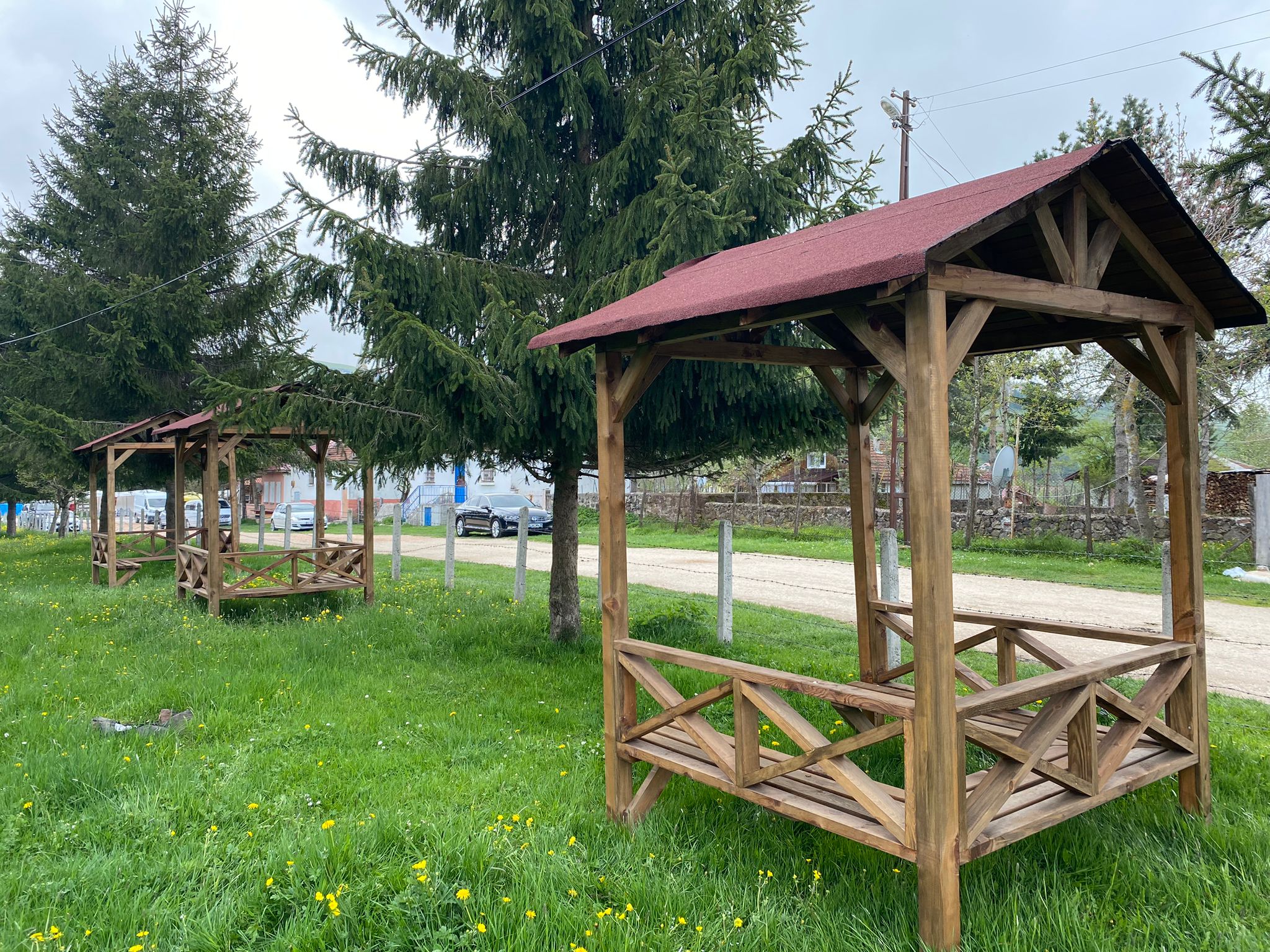 Perşembe Yaylası Çamlık alana kamelya alımı